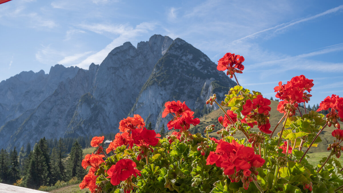 -- - vladimir -- - vladimir