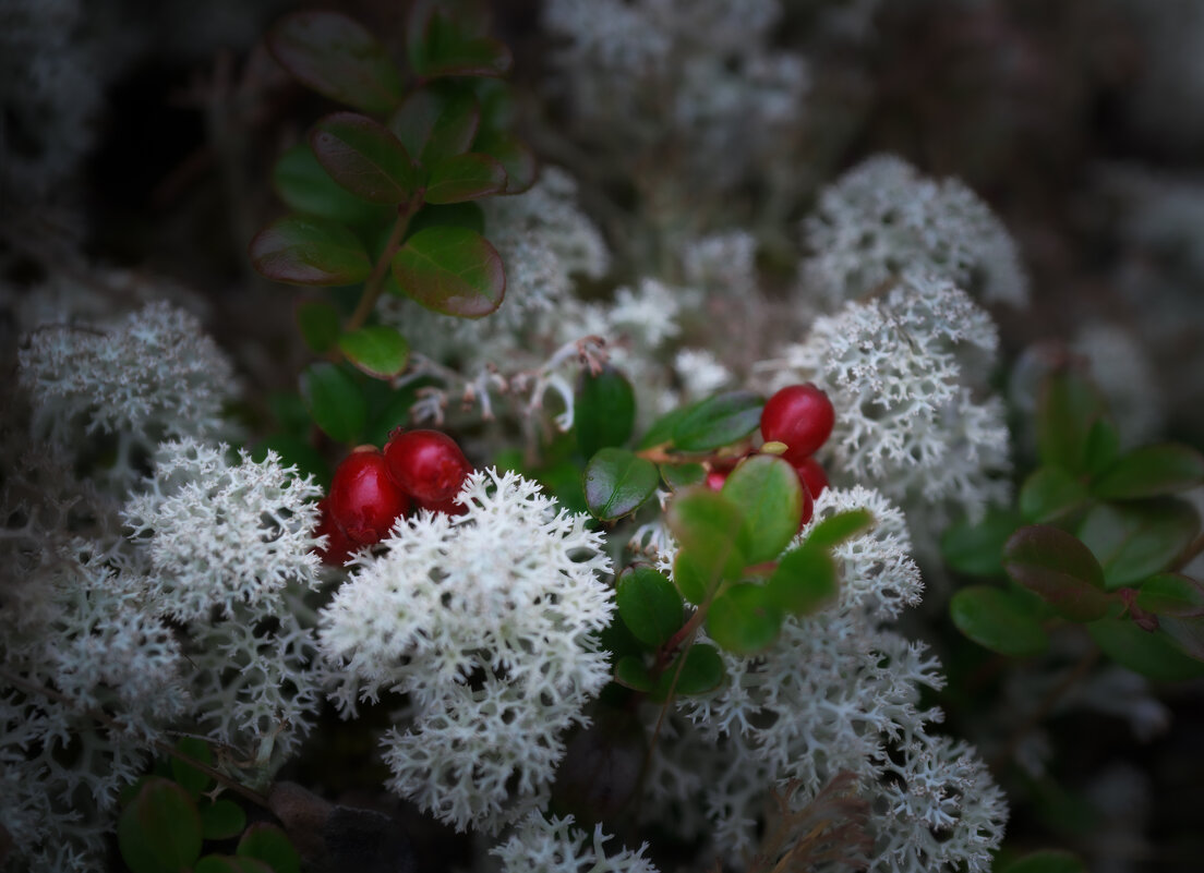 * - Александр Иванов