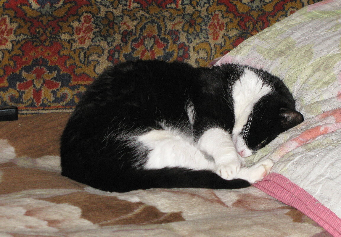 Так сладко спится - Людмила Смородинская