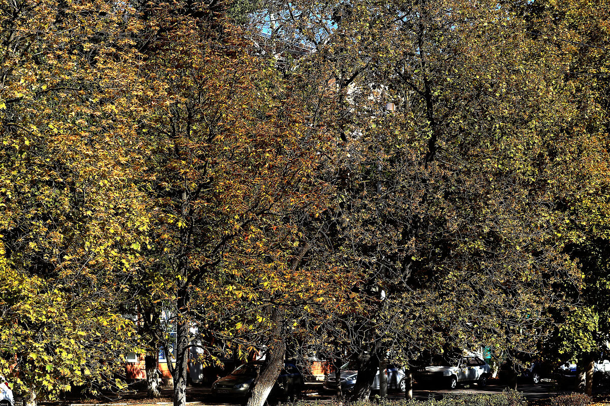 Бабье лето - Юрий Гайворонскiий