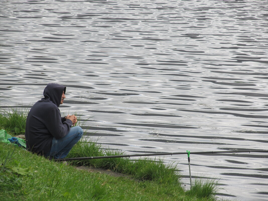 ловись рыбка ! - Елена Шаламова