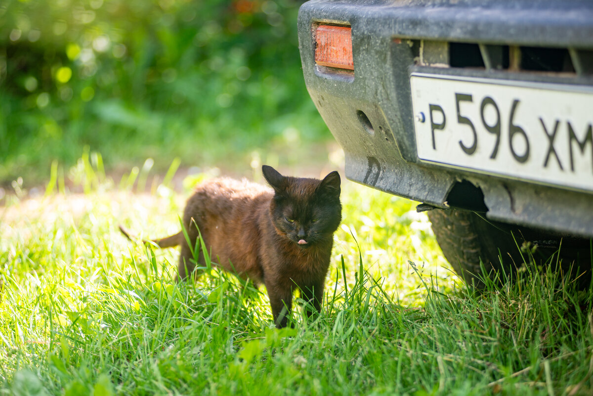 Задумался - Владимир Иванович