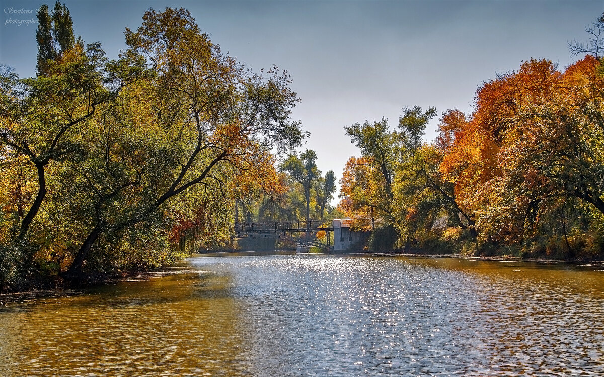Осень - Светлана Ищенко