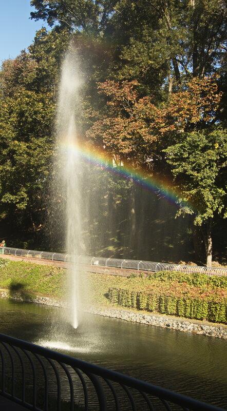 радуга - Владимир Зырянов