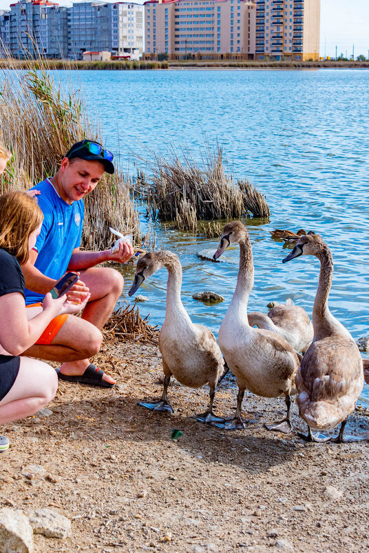 трое из ларца - Дмитрий Лупандин