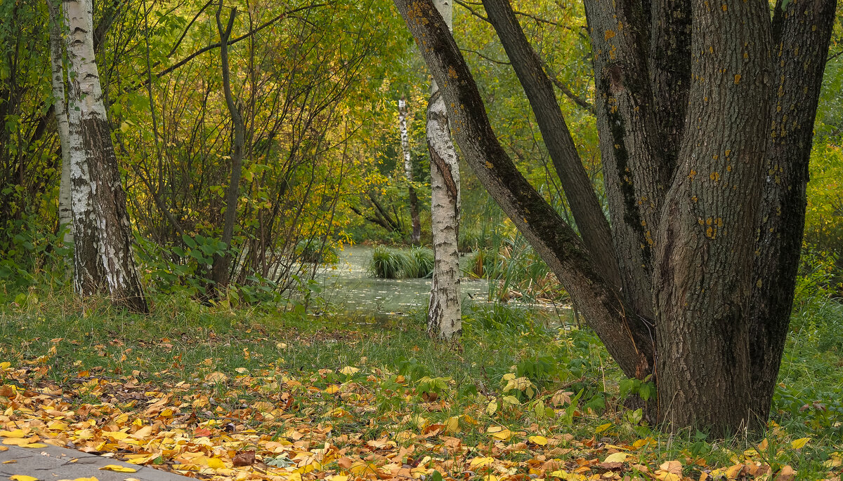 ***** - юрий поляков