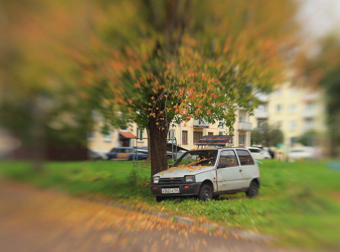 Сентябрьский дворик - Владилен Панченко