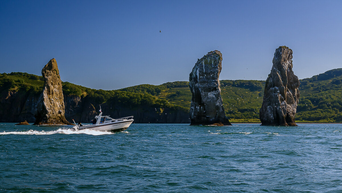 ... - Жора Житников