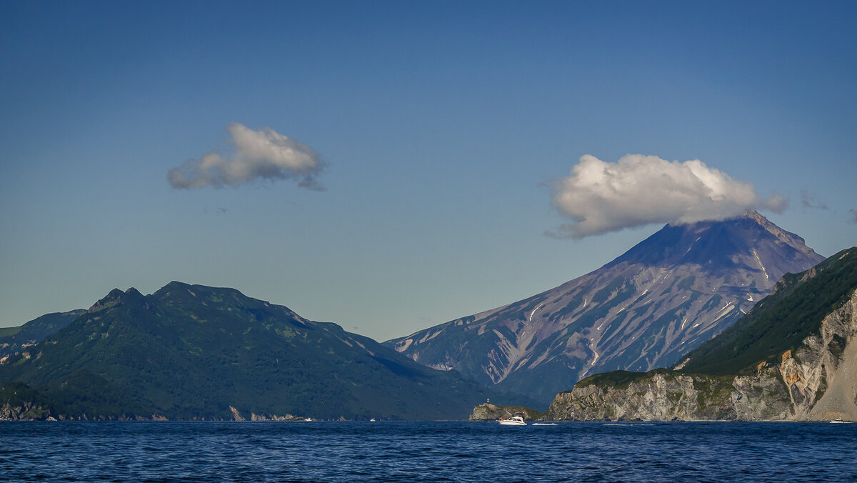 ... - Жора Житников