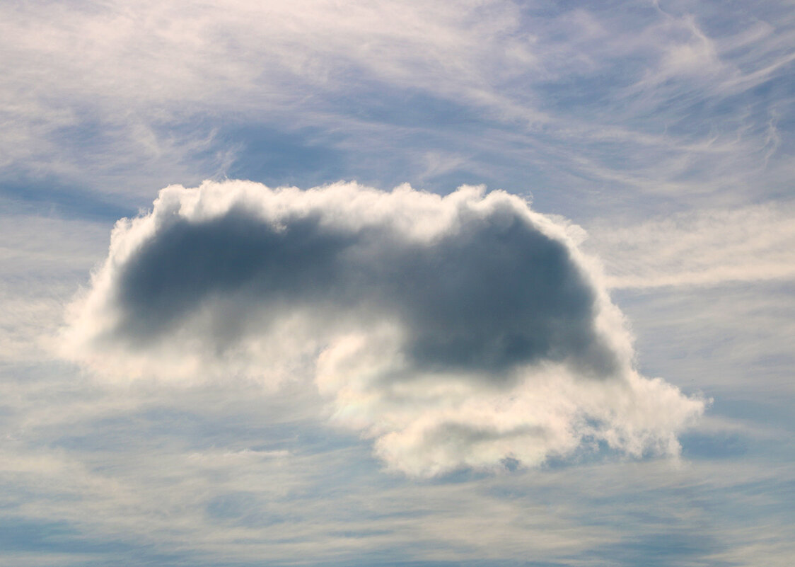 Небесный слоник - Светлана Небесный слоник - Светлана