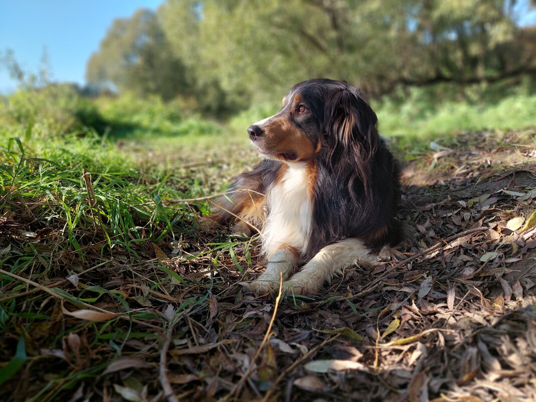 Фантом на солнышке - Артём 