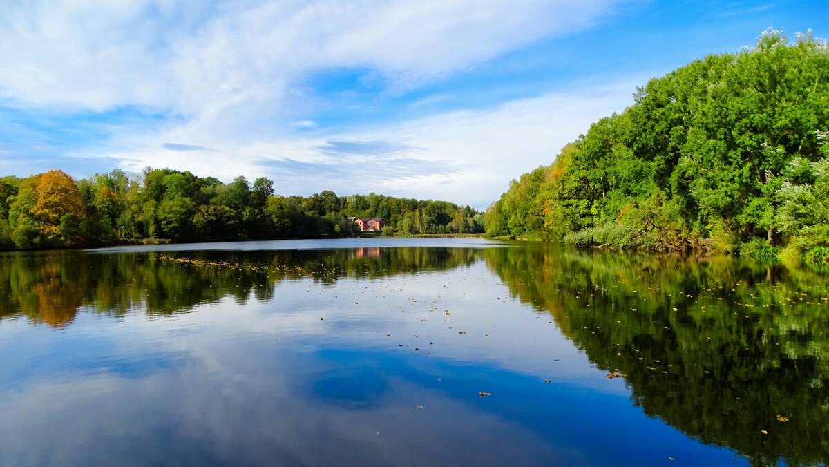 Осень в октябре. - Милешкин Владимир Алексеевич 