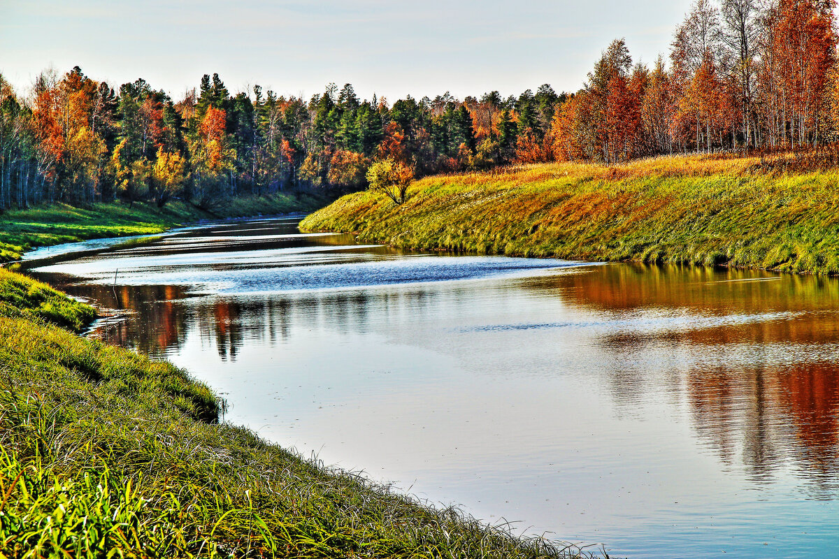 Осень позолотила берега протоки Девкина! - Владимир 