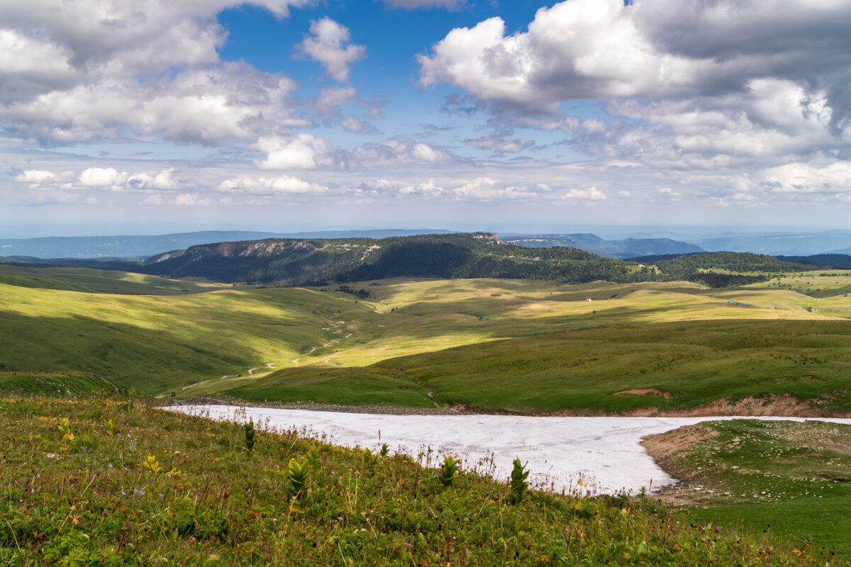 Плато Лаго-Наки, июль - Игорь Сикорский Плато Лаго-Наки, июль - Игорь Сикорский