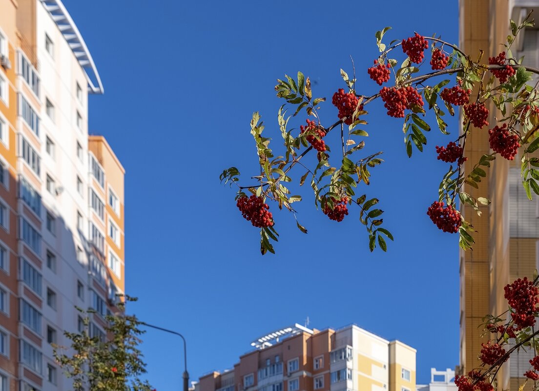 Привет от осени - Валерий Иванович
