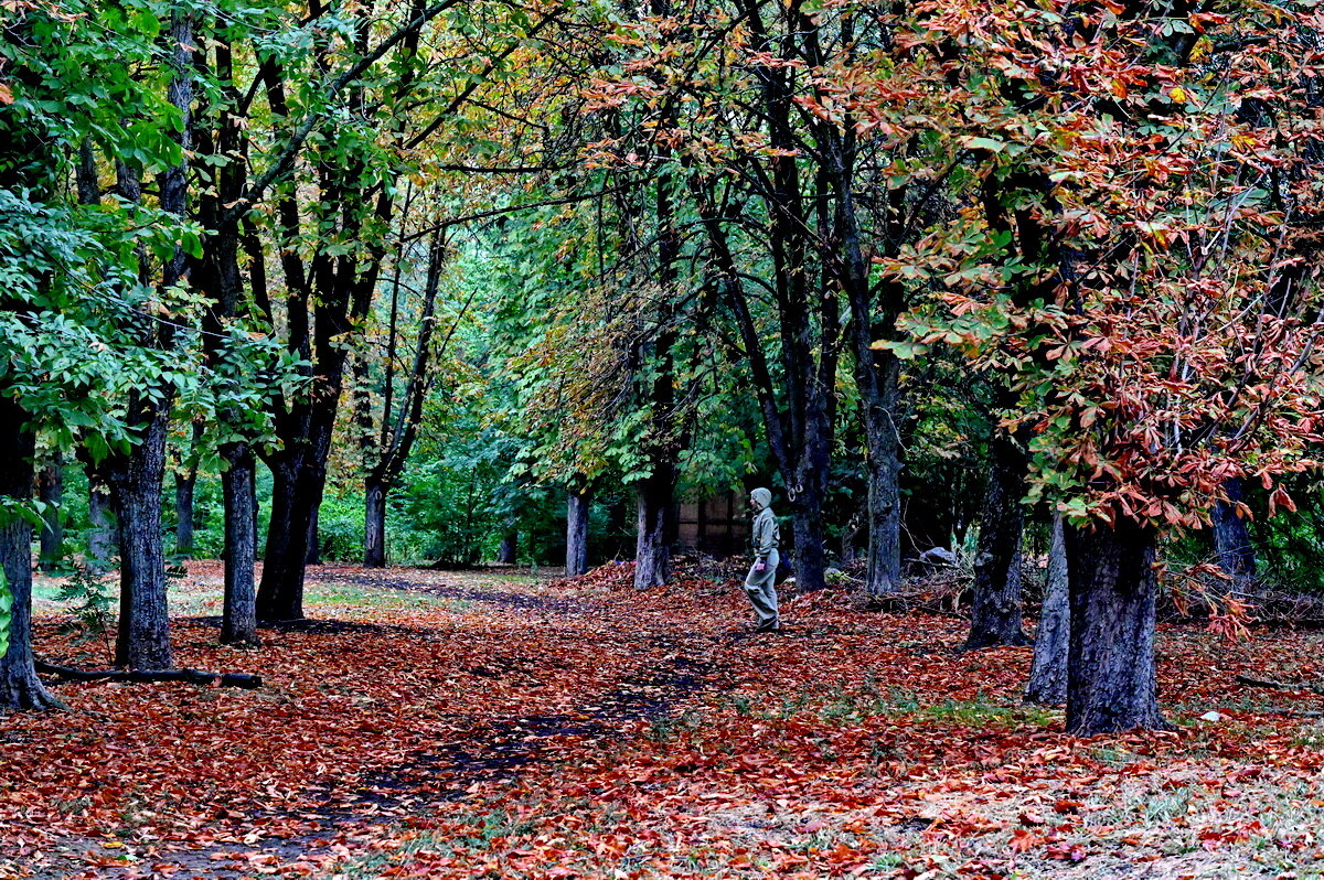 Осень в городе... - Николай Саржанов