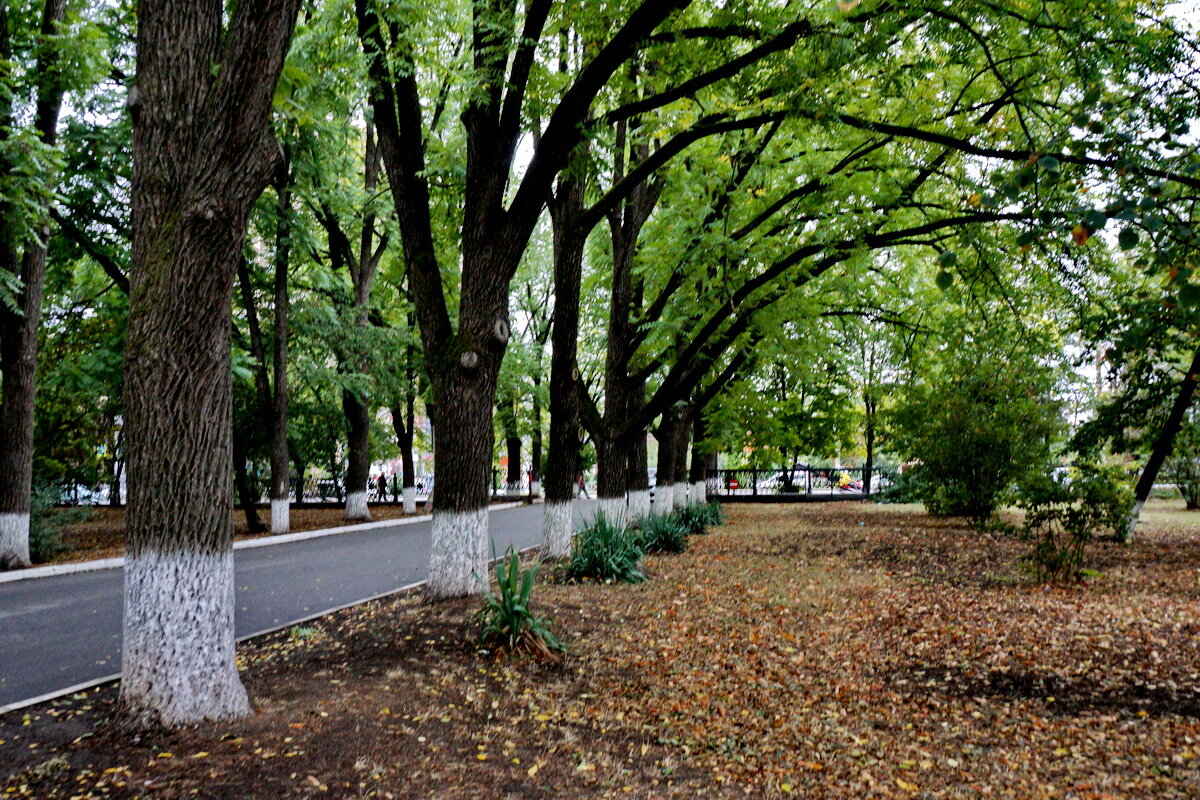 Осень в городе... - Николай Саржанов