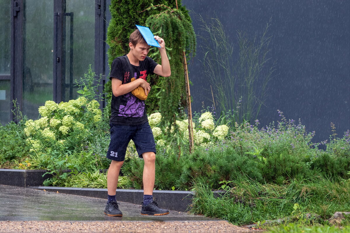 Дождь есть, а зонтика нет. - Анатолий. Chesnavik. Дождь есть, а зонтика нет. - Анатолий. Chesnavik.