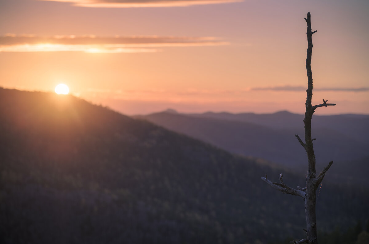 * - Александр Иванов