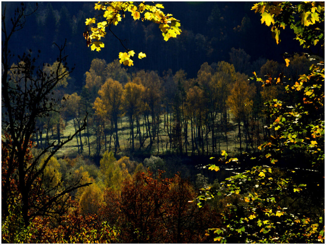 Осенний - Aleksandr Gal