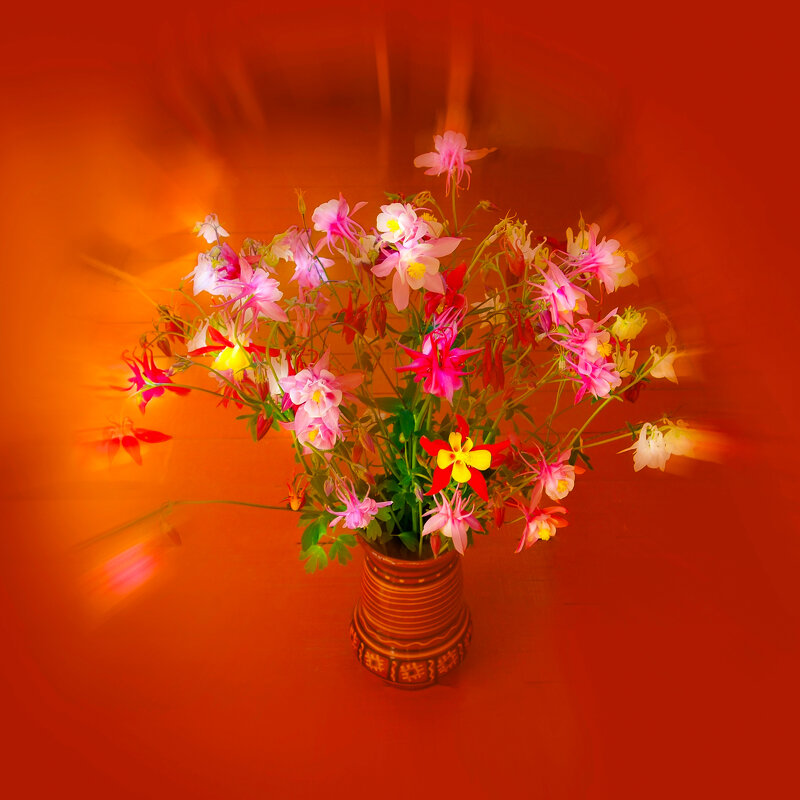 Цветы на балконе - Евгений 