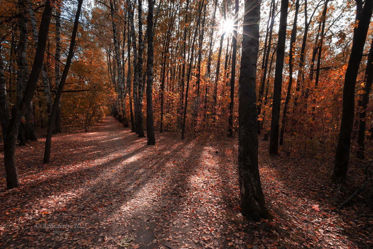 Осеннее солнце - Александр Синдерёв