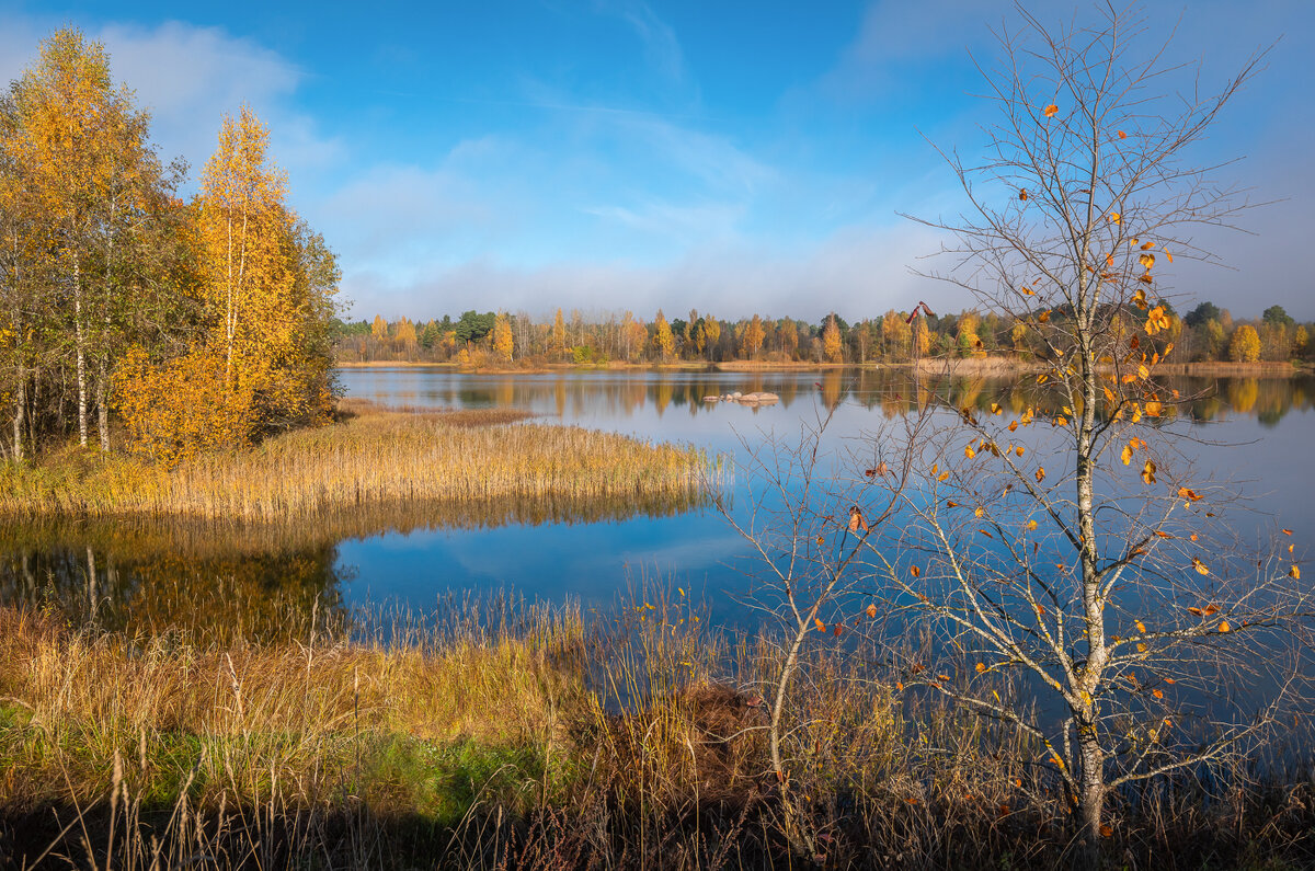 **** - Елизавета .
