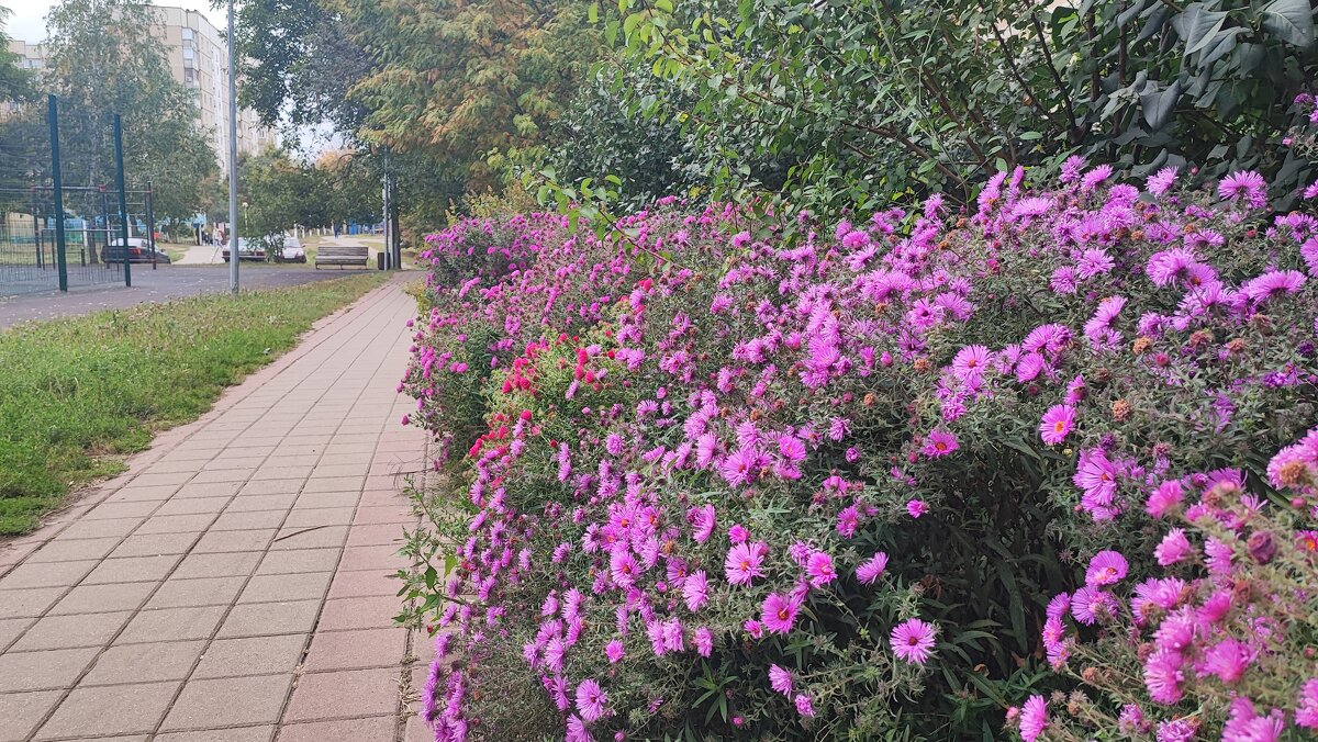 ,,, - Сергей Тимоновский ,,, - Сергей Тимоновский