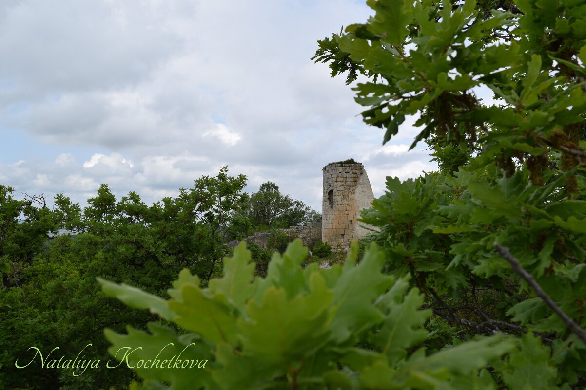 Природа Крыма - Amazing Cosmea