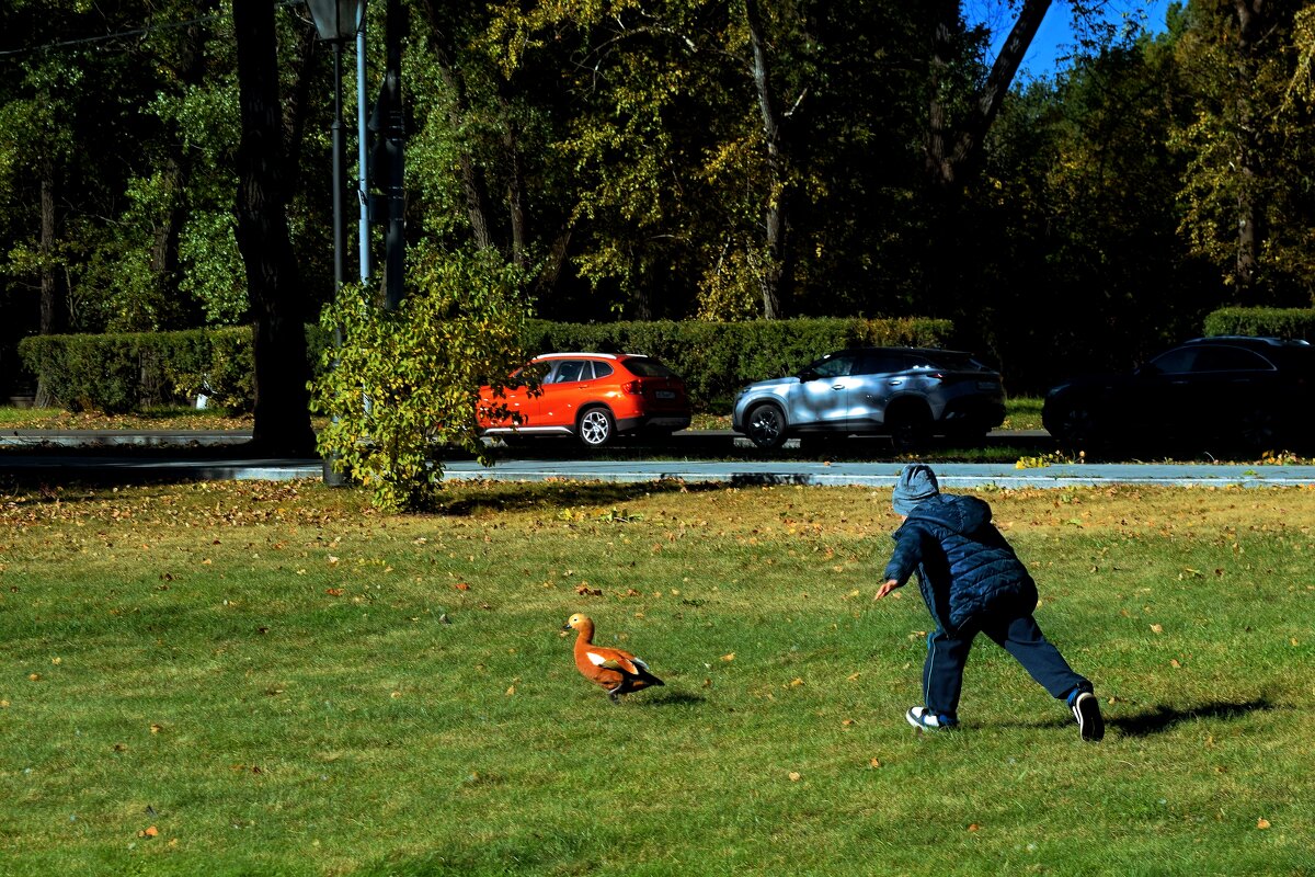 Догнать огаря не получится. - Татьяна Помогалова