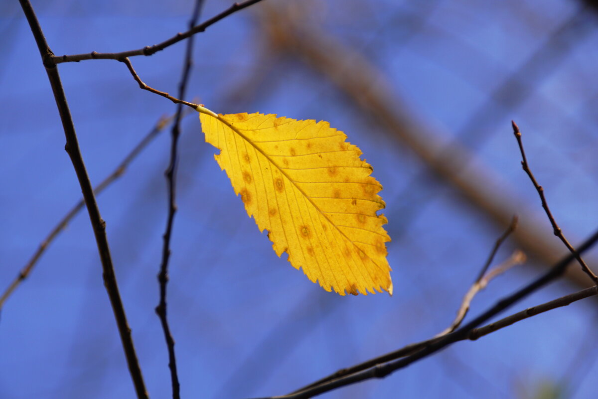 Стойкий - Наталия Григорьева