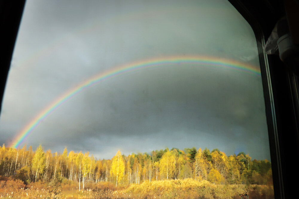 Радужная осень из окна поезда - Галина Ильясова