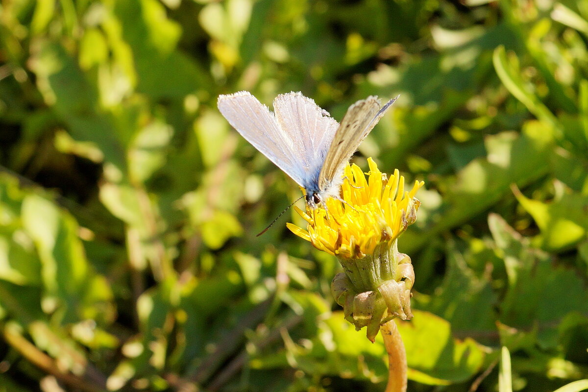 ... - Андрей Катков