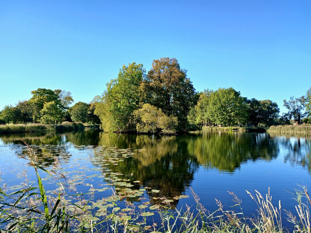 Петергофские пруды. - Лия ☼