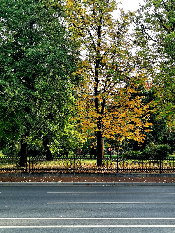 *** - Любимова Ольга 