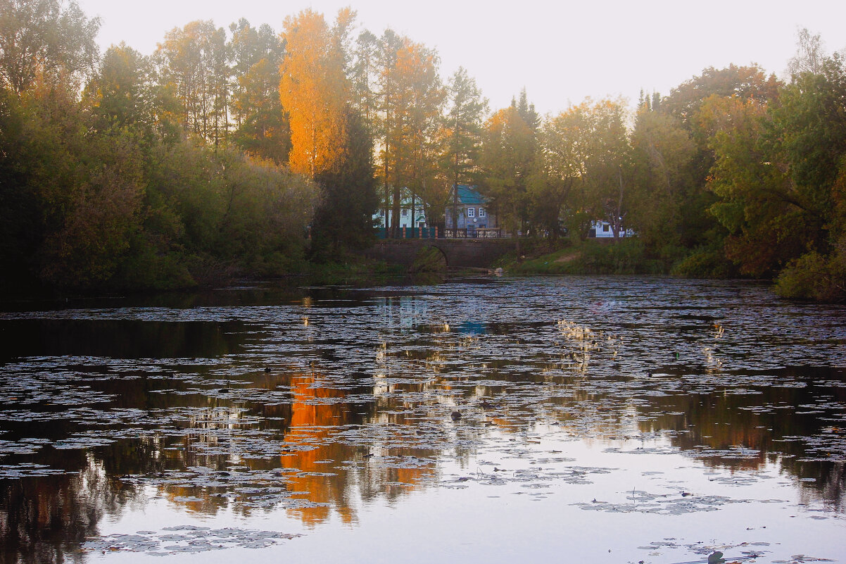 Осень на пруду - Сергей Кочнев