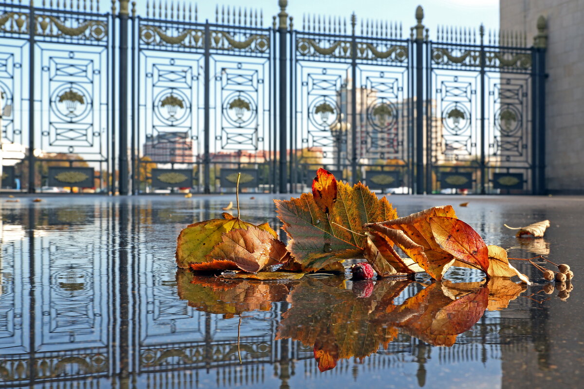 3 октября в ЦПКиО - Михаил Бибичков
