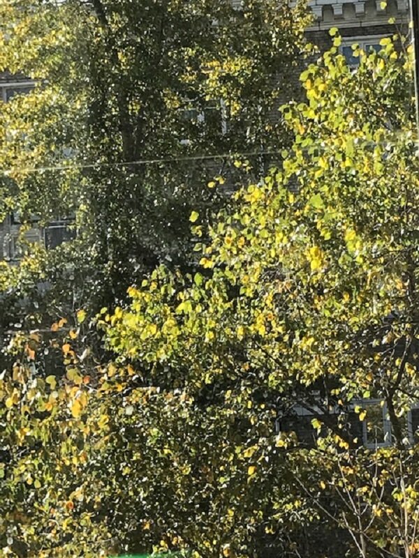 Осень за окном... - Татьяна Юрасова