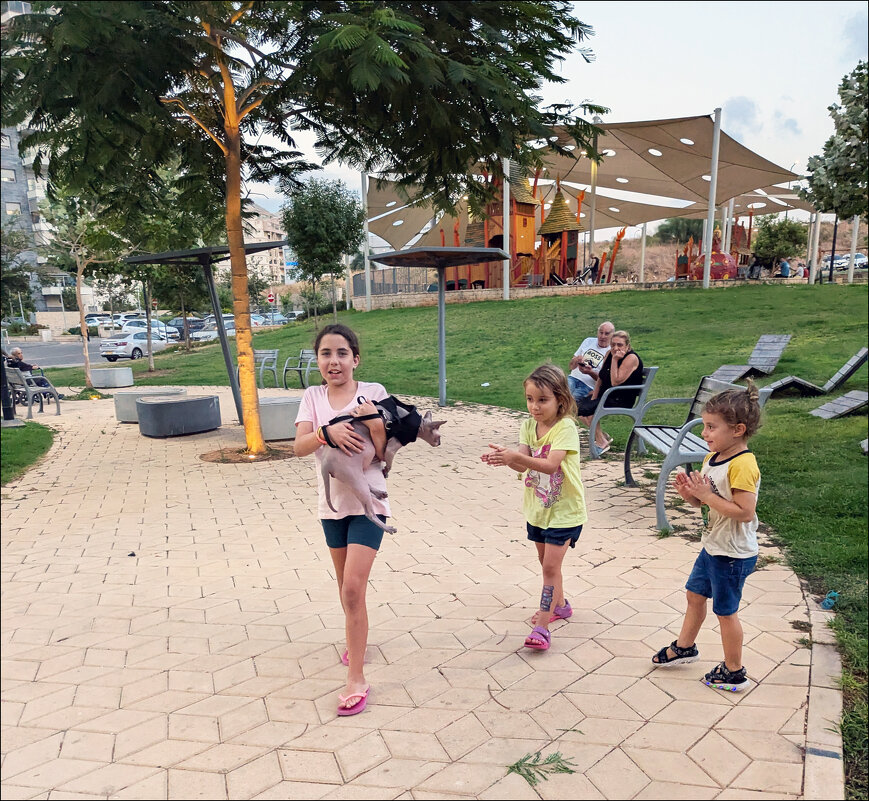 Неведома зверушка - Валерий Готлиб Неведома зверушка - Валерий Готлиб