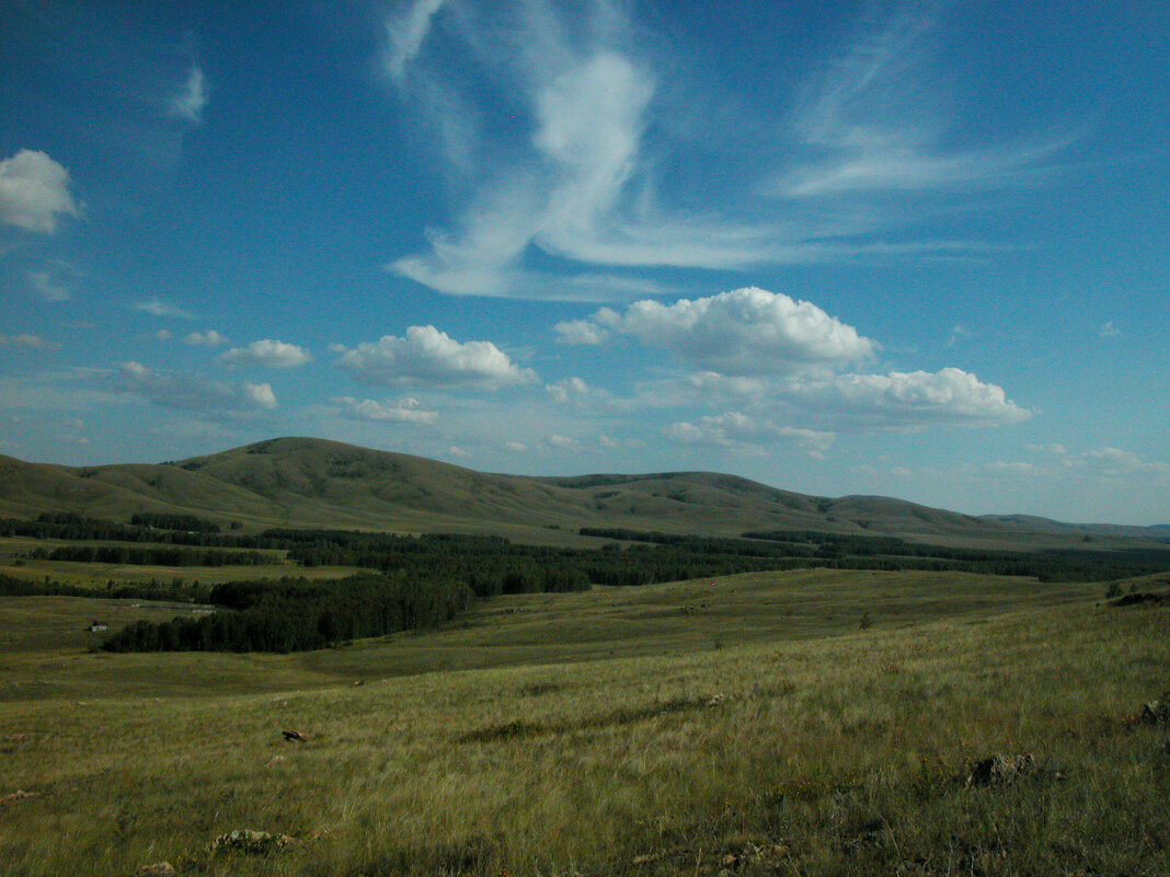 Полет "ангелов." - Наталья Лунева 