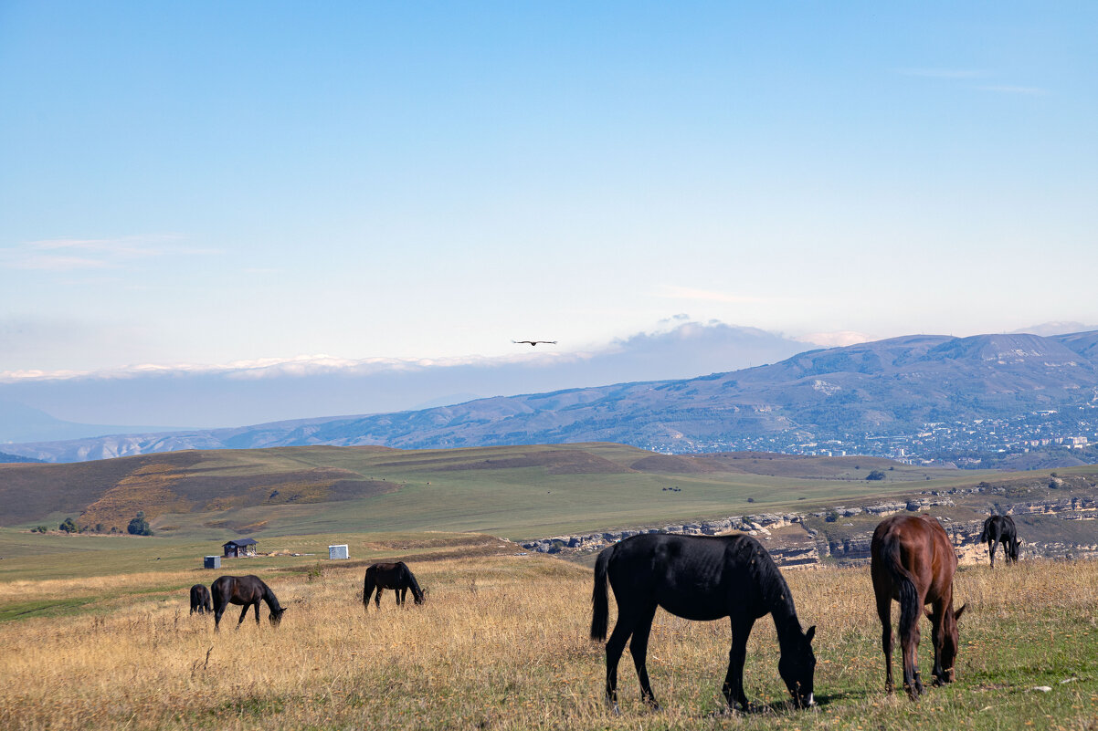 Карачаево-Черкесия. - Yuri Chudnovetz