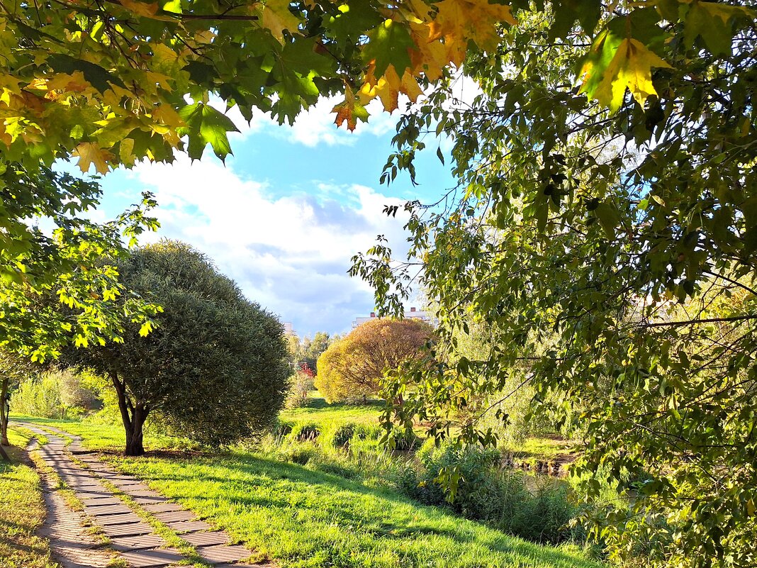 Яуза - Наталья 