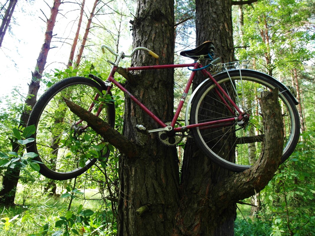 спрятал сходил    вернулся на место   велик на месте - Владимир 