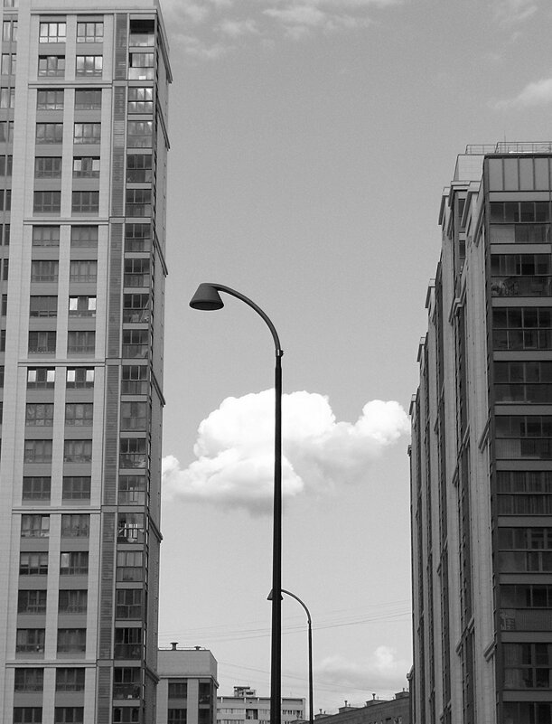 *** - Любимова Ольга 