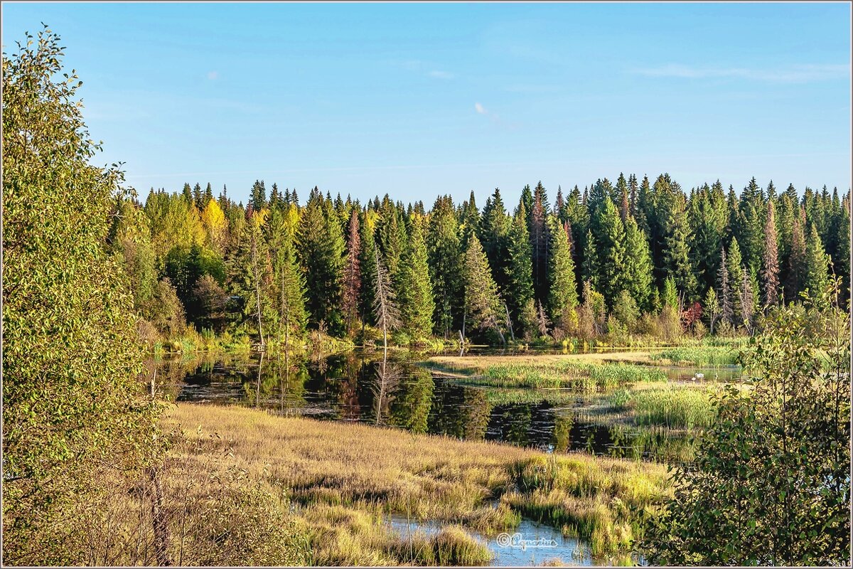 Про сентябрь - Aquarius - Сергей