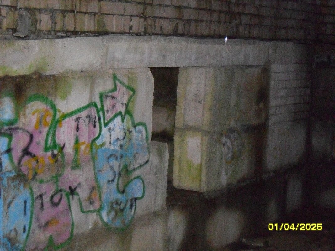 заброшка - fogmeadowww m