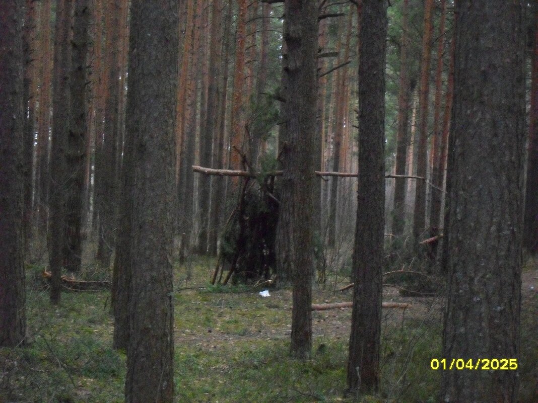 Шалаш - fogmeadowww m