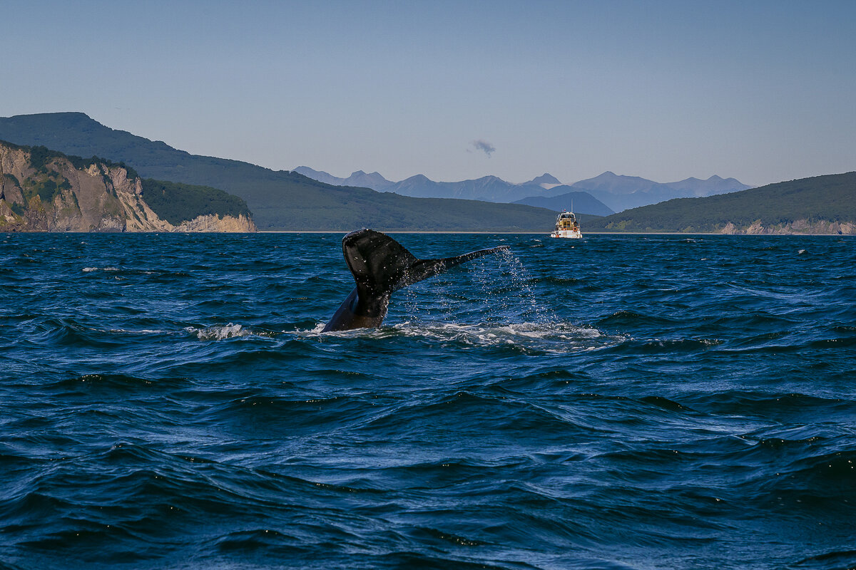 ... - Жора Житников