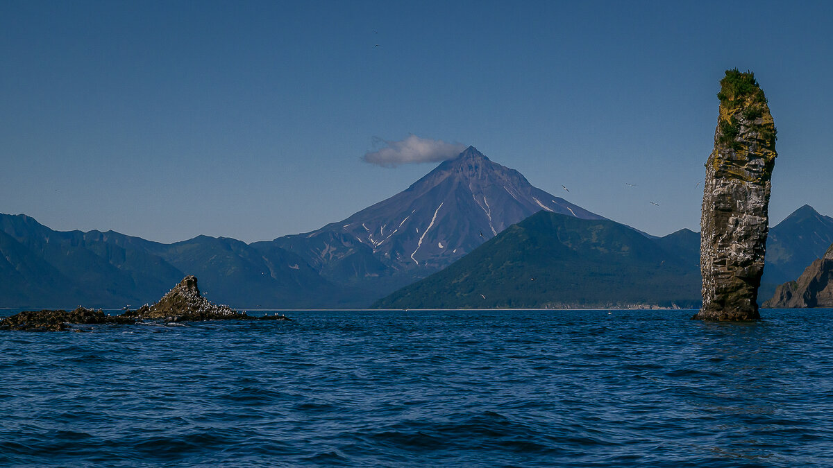 ... - Жора Житников