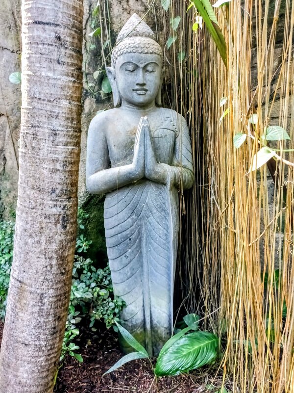 У входа в павильон Тропического леса - Veera V